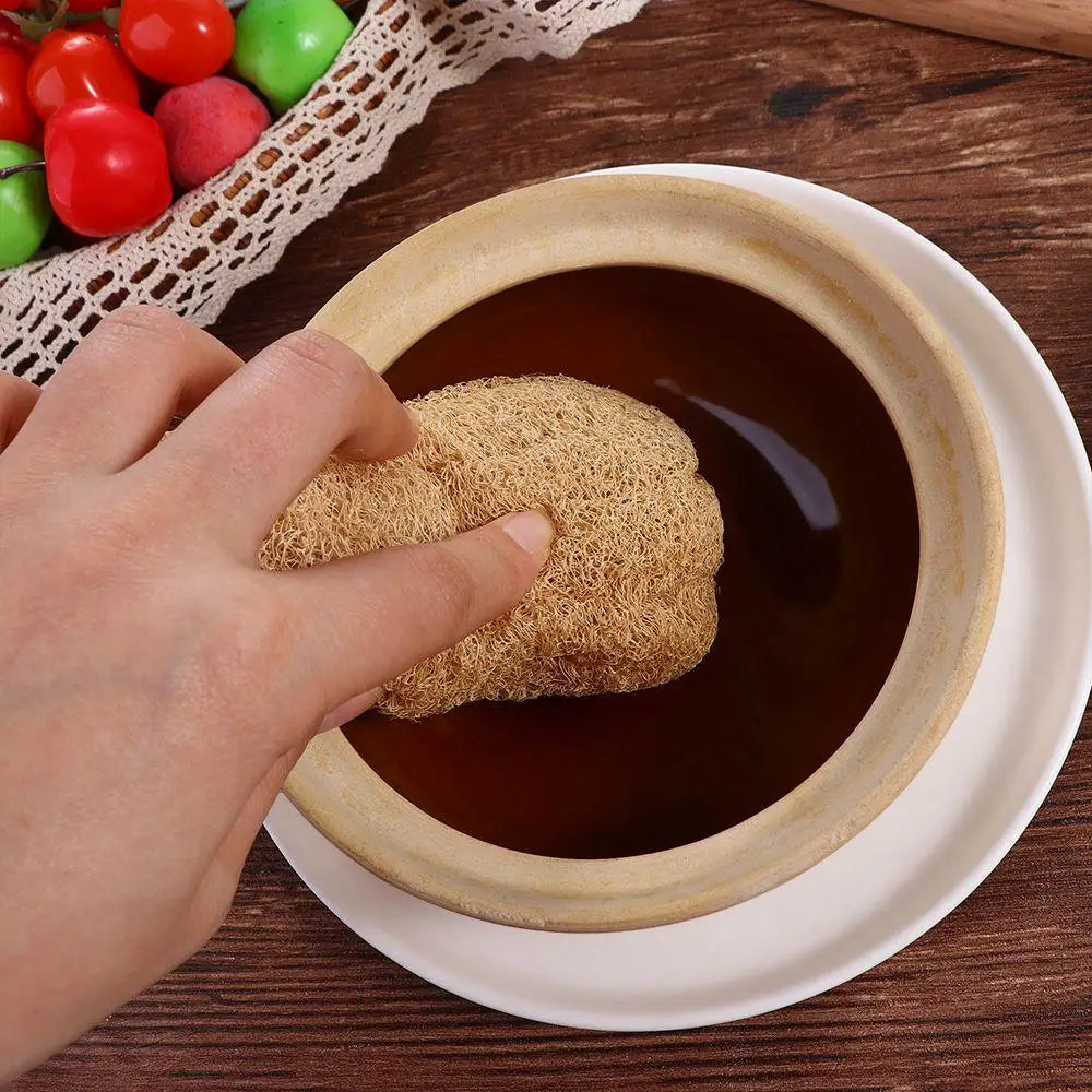 Natural Loofah Sponge